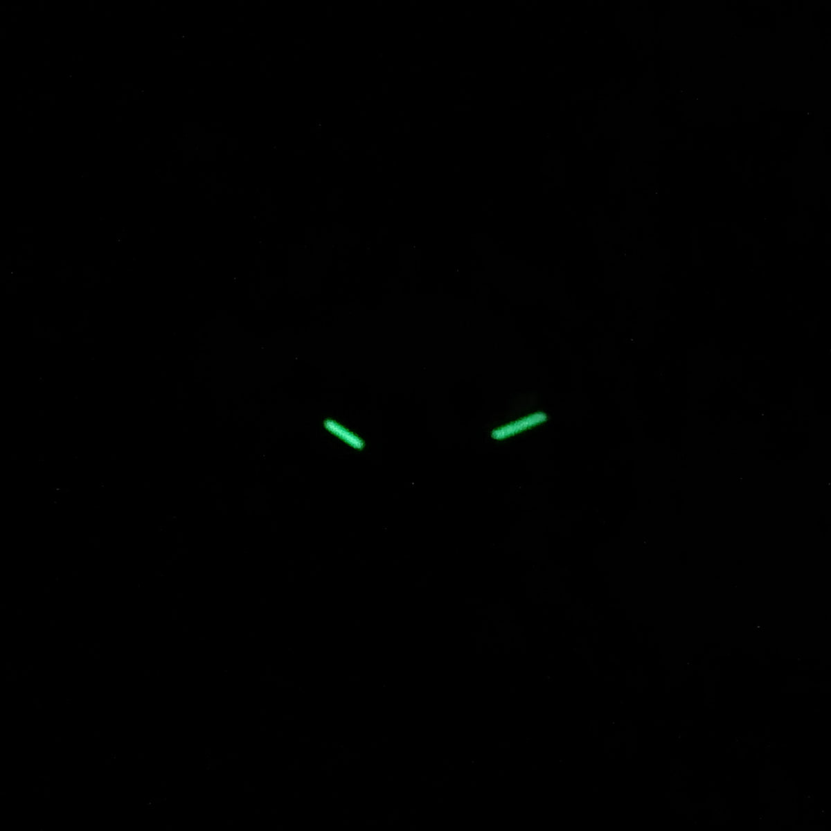 Nautica - Original - Japanese Quartz - 36mm - Water Proof - Women's Watch