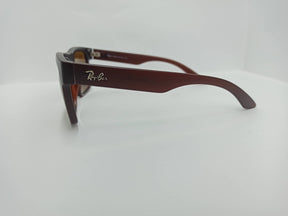 Ray Ban - Square Wayfarer - SG314 - Brown - Glass Lens - Sunglass - CHECKOUT