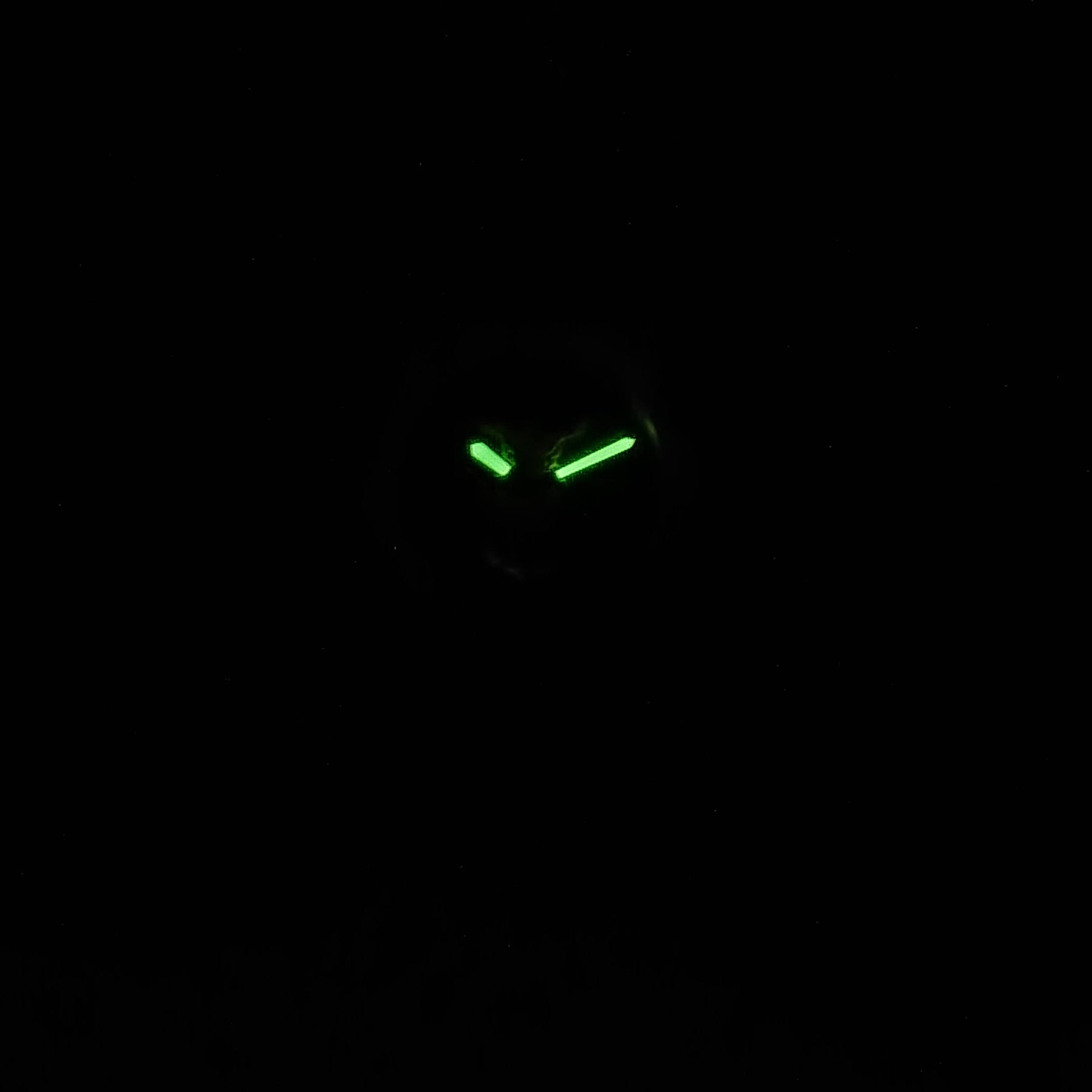 Montana - Original - Japanese Quartz - 30mm - Women's Watch